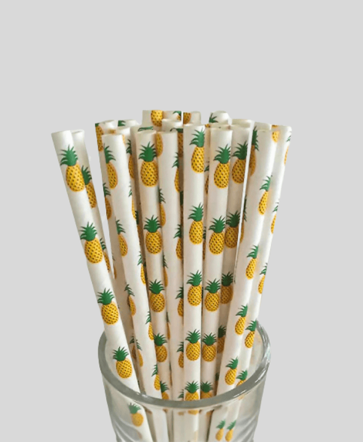 Drinking Straws