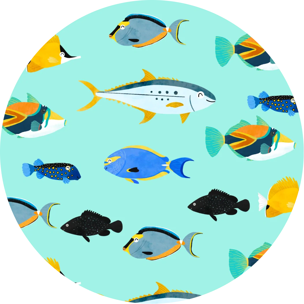 Tropical Fish – SoHa Living