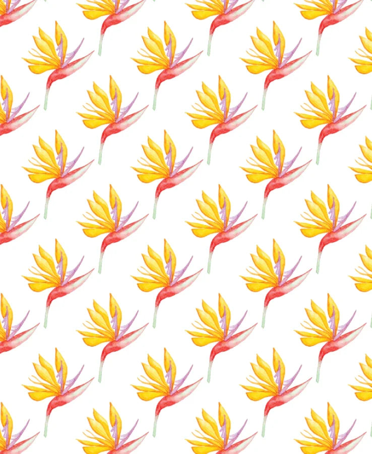 Yellow Bird of Paradise