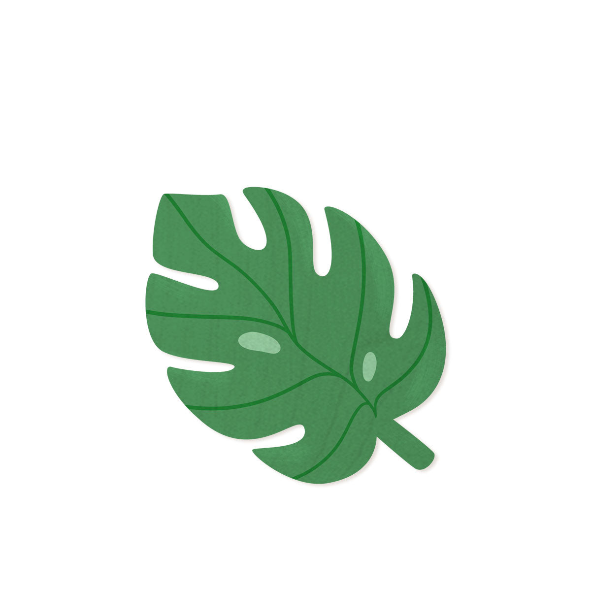monstera gloriosum Philodendron Gloriosum Tricolor – Greenspaces.id