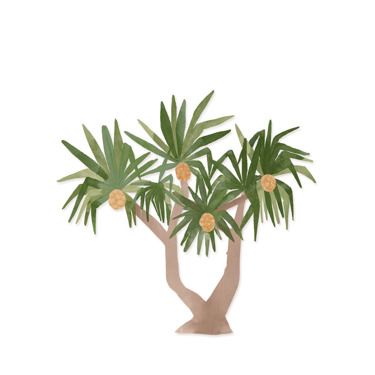Hala Tree Wood Shape – SoHa Living