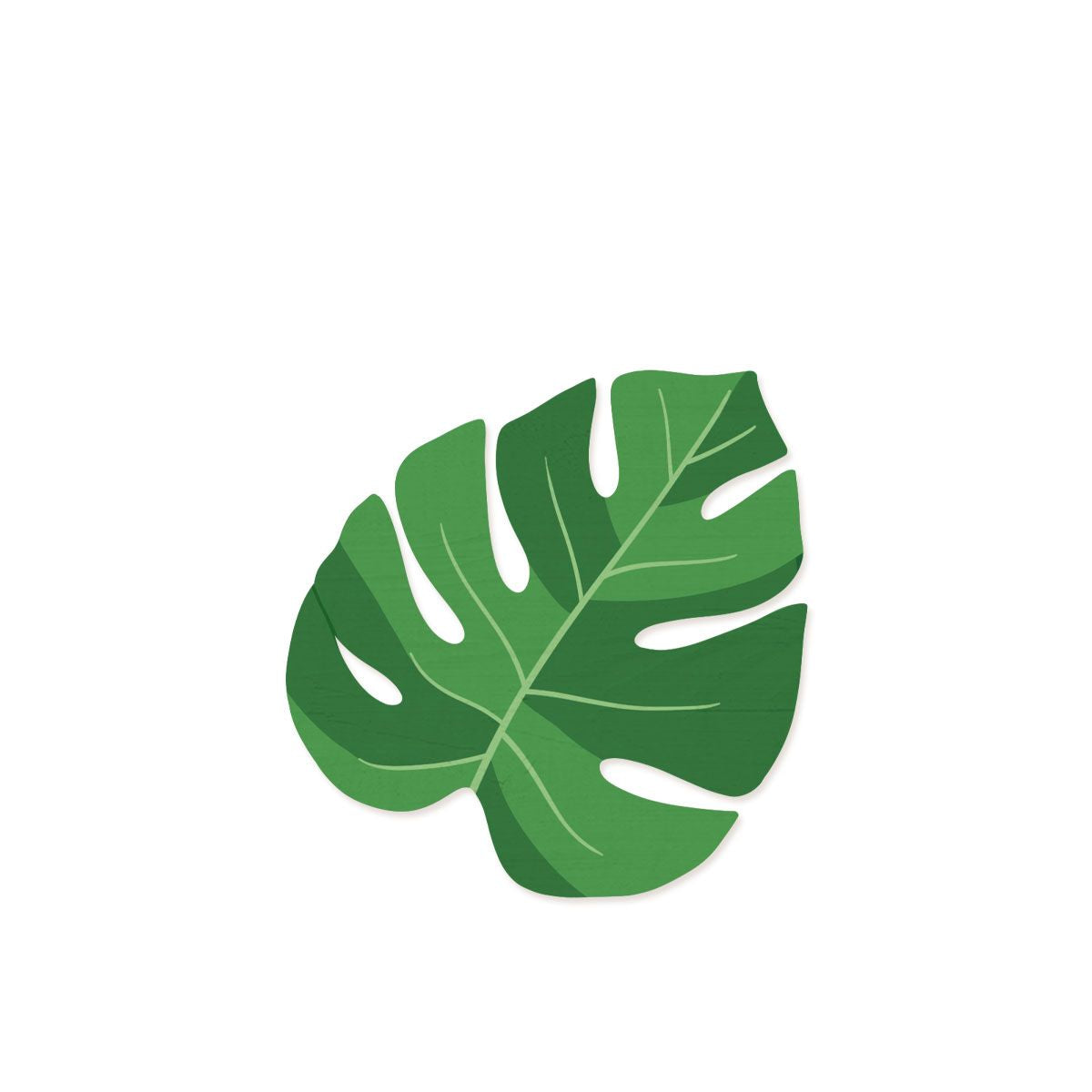 Monstera Leaf Wood Shape