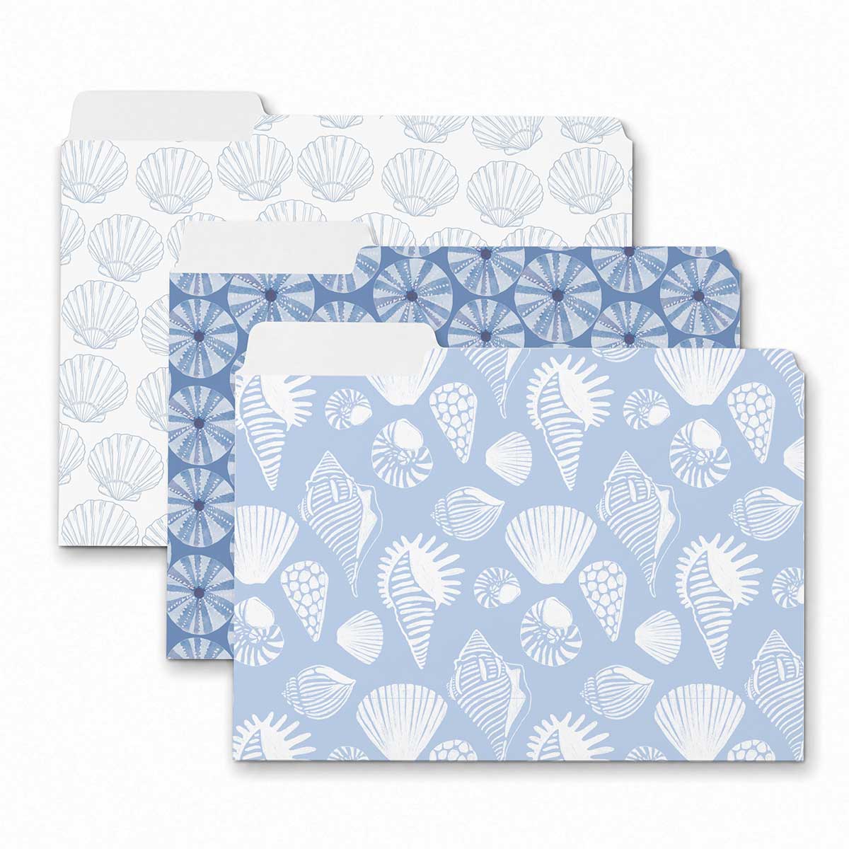 Moana Treasures File Folders, Set of 3