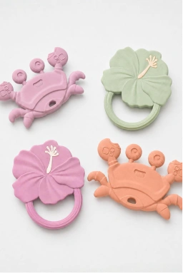 Teethers & Pacifiers