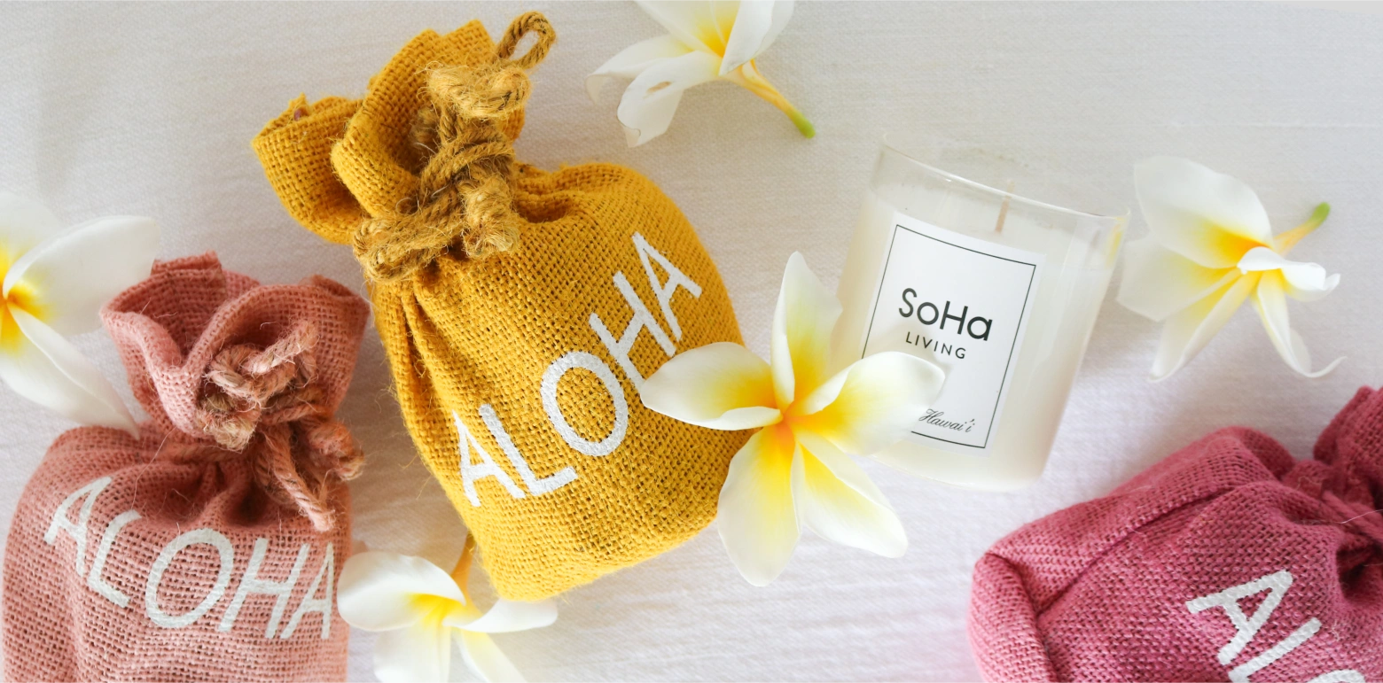 How to Keep your Home Smelling Fresh All Day? – SoHa Living